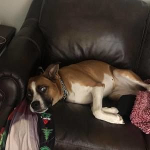 Meet your Posher, Mason